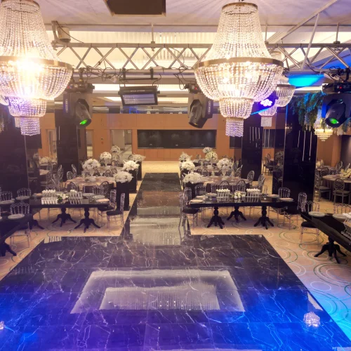 Armonia Golden Tulip